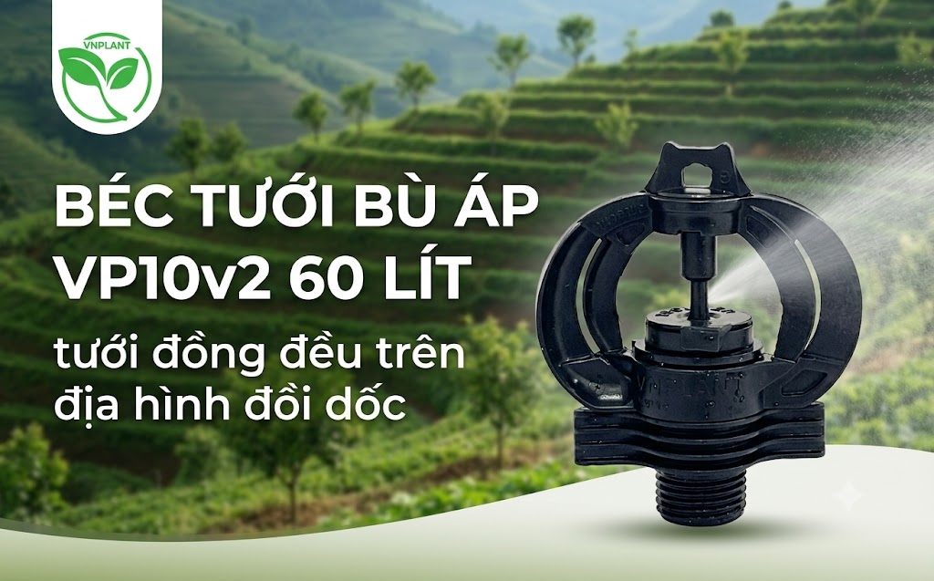 bec tuoi vp10v2 bu ap